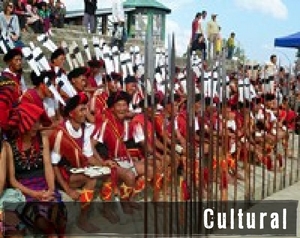 Cultural